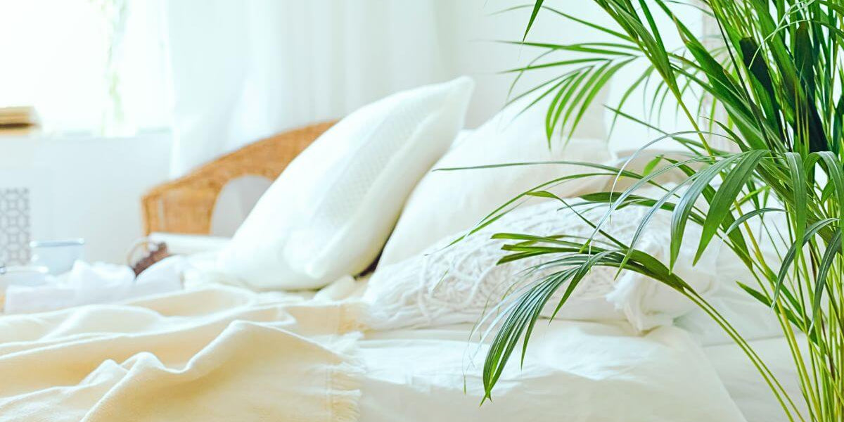 【色の選びのヒント】四季を楽しむ、極上の休息。季節で選ぶ「私の心地よい色」