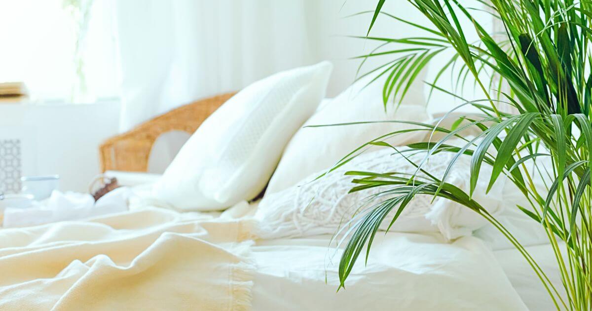 【色の選びのヒント】四季を楽しむ、極上の休息。季節で選ぶ「私の心地よい色」